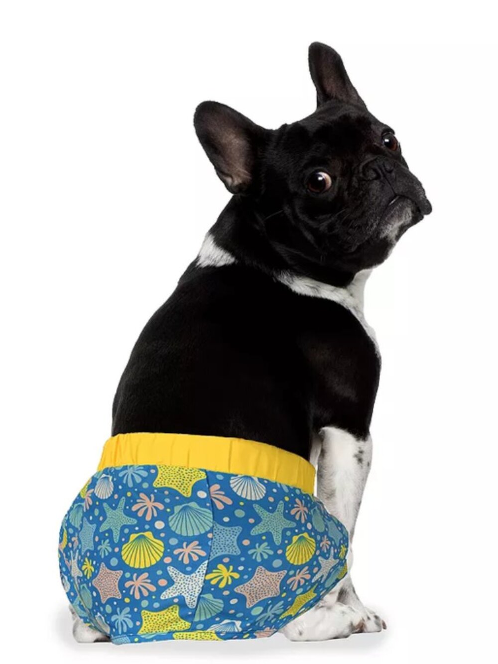 NWT ~ Ocean Themed Dog Swim Trunks by WOOF (Size: Small)